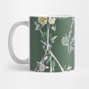 Wild herbs Mug